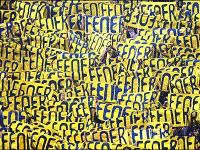 Żółto-niebieskie kluby: Fenerbahce 